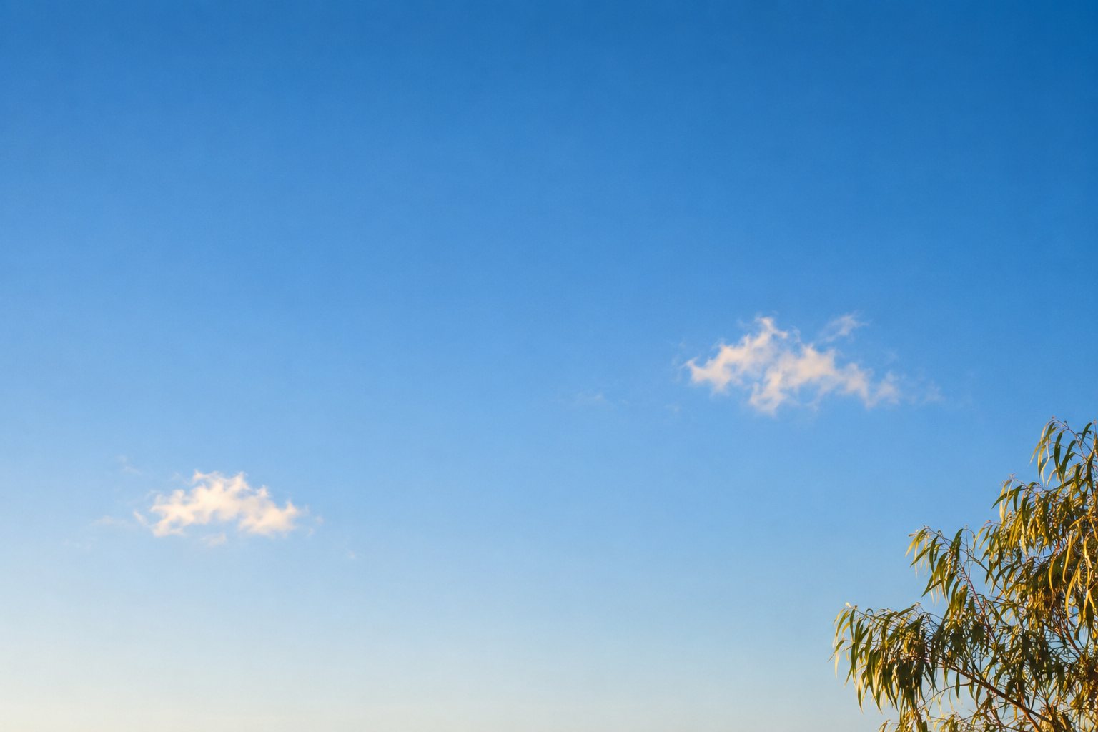 A clear blue sky with soft clouds and gum leaves in one corner